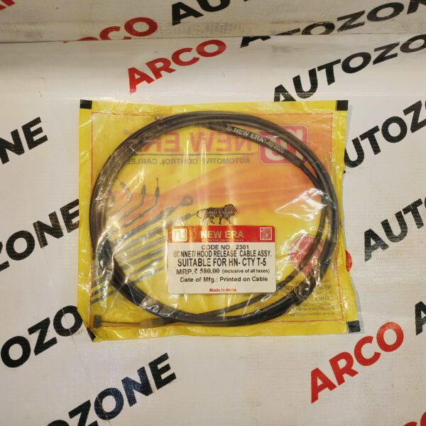 BONNET CABLE CITY T5 NEW ERA 2301