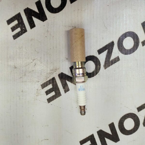 SPARK PLUG FIESTA FIGO NGK TR5B13