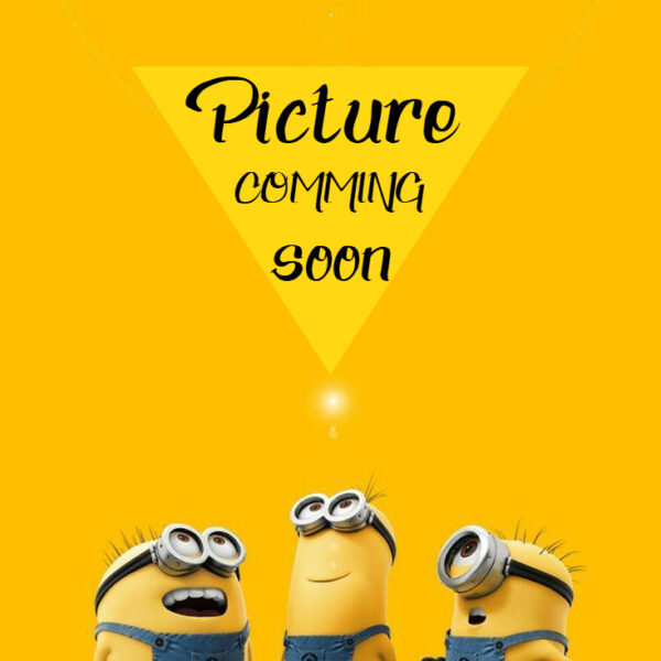 RACKEND IGNIS WAGONR 2019 A K