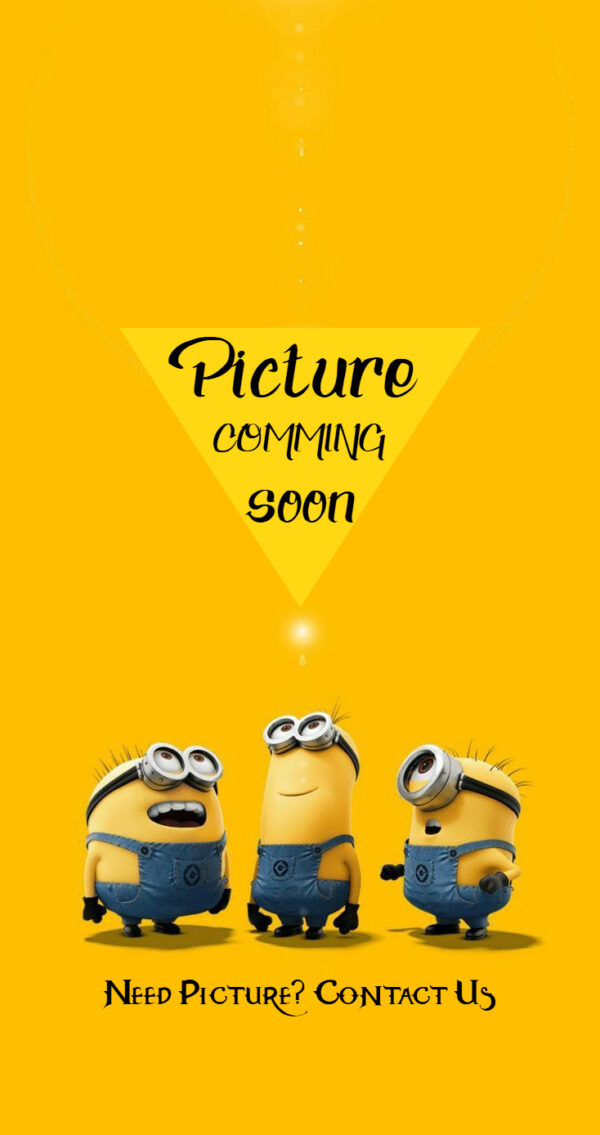 STEPNEY PLY DZIRE 12 IMP